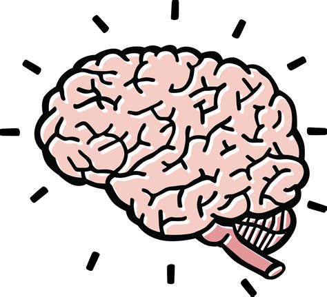 brain clip art|More.